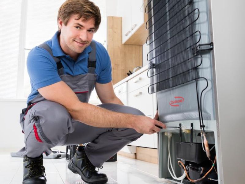 Ưu Điểm Khi Chọn Sửa Tủ Lạnh của Bảo Hành Điện Máy Xanh
