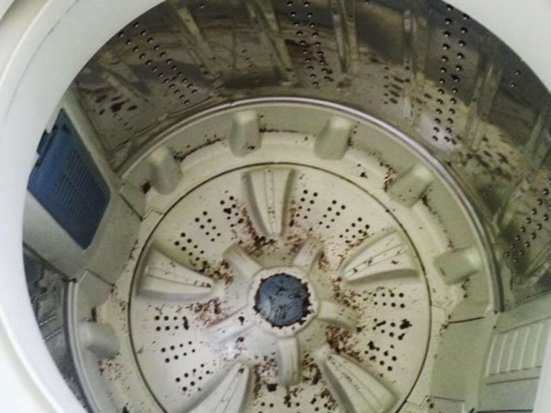 Cam Kết Của Bảo Hành Điện Máy Xanh Khi Sửa Máy Giặt