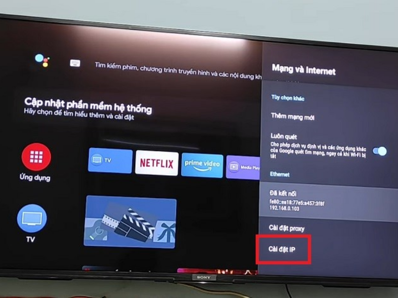 Tivi Sony 43 Inch Có Kết Nối Wifi Được Không