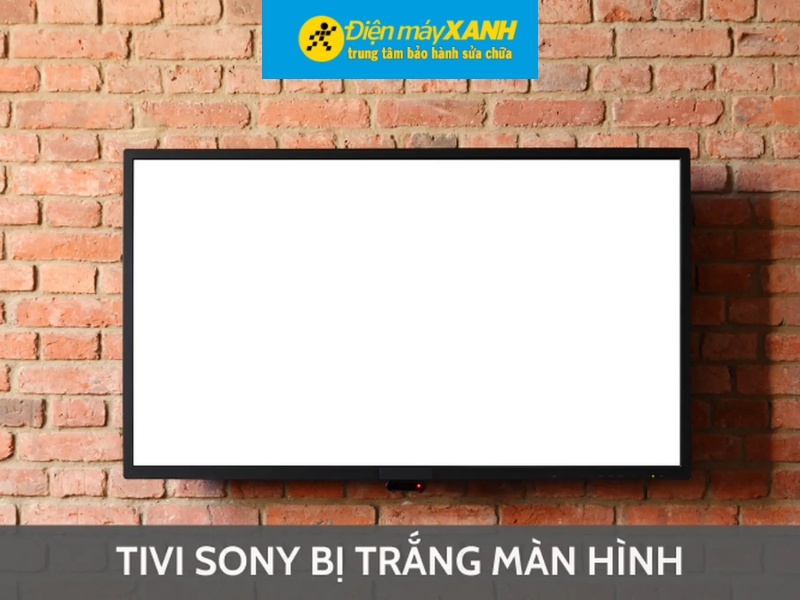 Cách khắc phục tivi Sony bị trắng màn hình tại nhà
