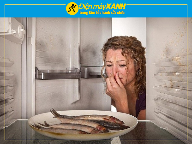 Các Nguyên Nhân Tủ Lạnh Bị Hôi