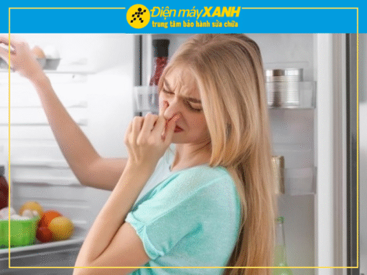 Cách Khắc Phục Tủ Lạnh Bị Hôi Nhanh Chóng Chỉ Trong 1 Phút