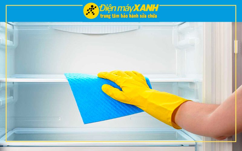 Cách Xử Lý Tủ Lạnh Bị Kiến Cực Đơn Giản
