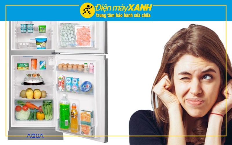 Nguyên Nhân Quạt Tủ Lạnh Bị Kêu